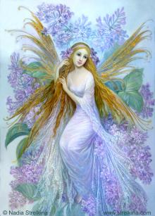 Lilac fairy